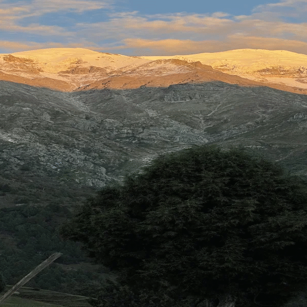 Trip to Skardu with hotel