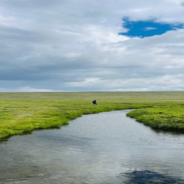 Outdoor adventure vibes