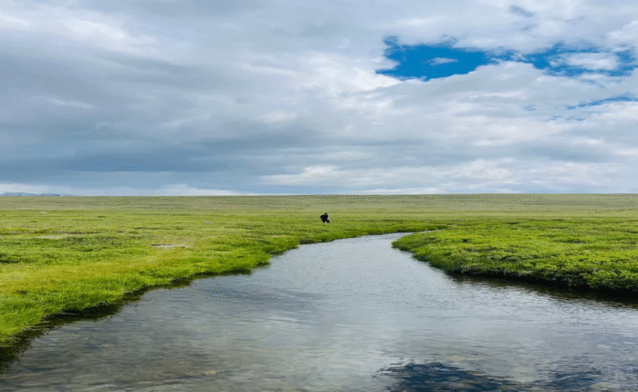 Outdoor adventure vibes