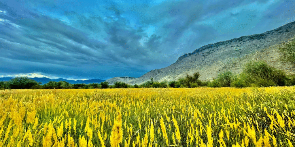 Local tour operator Pakistan