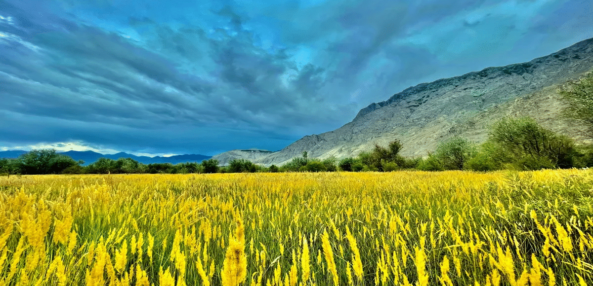 Local tour operator Pakistan