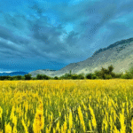 Local tour operator Pakistan