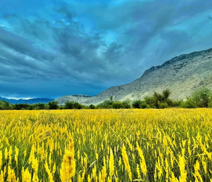 Local tour operator Pakistan