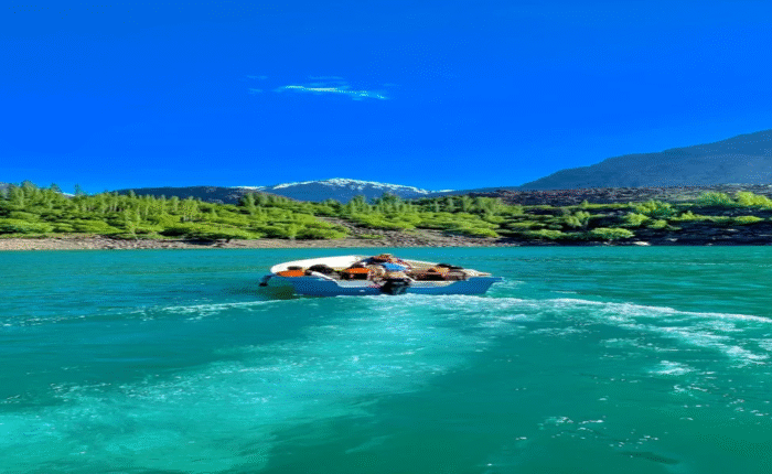 Beautiful nature scenery